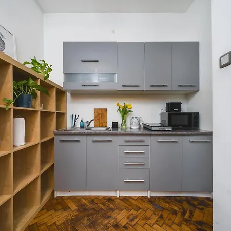 Pretty And Spacious - Vistula River And Wawel Castle Apartament